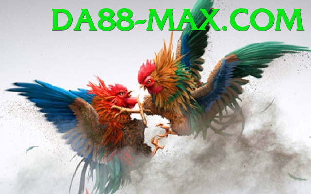 Cách Đọc Kèo Đá Gà - Game hành động